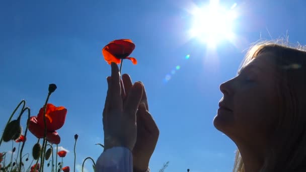 Kvetoucí makové pole poblíž Krasnodar. Rusko. — Stock video