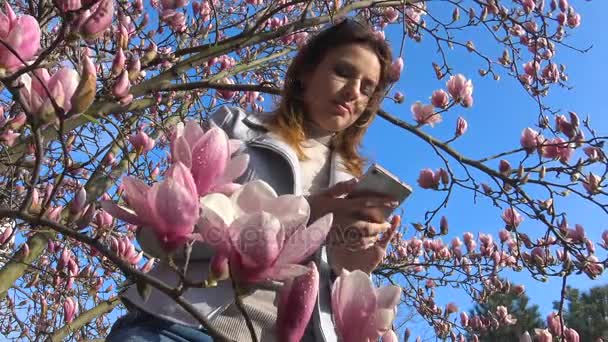 Trabalhar ou jogar em seu laptop no jardim Magnolia florido é um verdadeiro deleite . — Vídeo de Stock