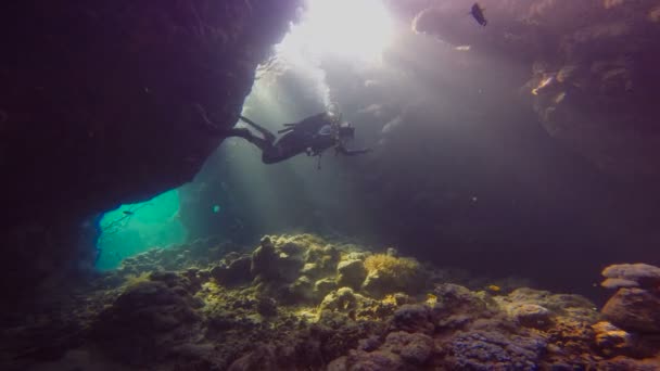 Dykning i vattnet grottor i Röda havet nära Egypten. — Stockvideo