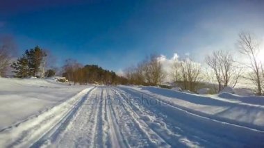 Kızak köpekleri yarış. Kafkas Dağları. Rusya. 