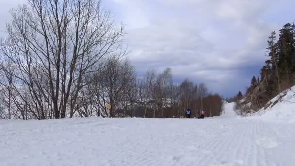 Racing sledehonden. De Kaukasische bergen. Rusland. — Stockvideo