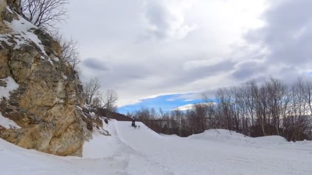 Chiens de traîneau de course. Les montagnes du Caucase. Russie . — Video