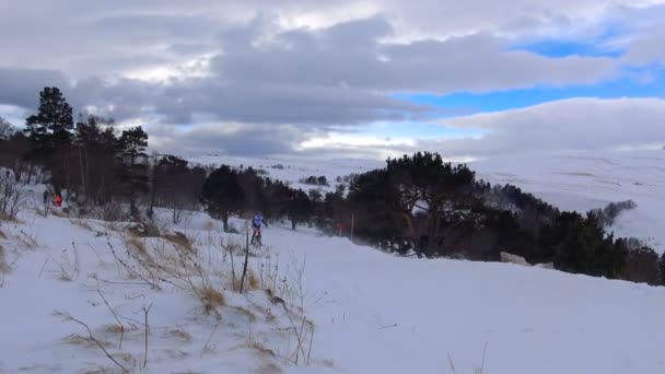 Racing sledehonden. De Kaukasische bergen. Rusland. — Stockvideo