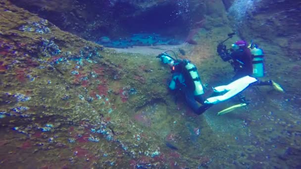 Захоплюючий підводний занурення з акулами off острів Roca Partida в Тихому океані. Мексика. — стокове відео