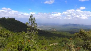 Mount Meru yamacında. Safari - Afrika savana yolculuk. Tanzanya.