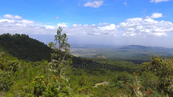メルー山の斜面。サファリ - アフリカのサバンナを旅します。タンザニア. — ストック動画