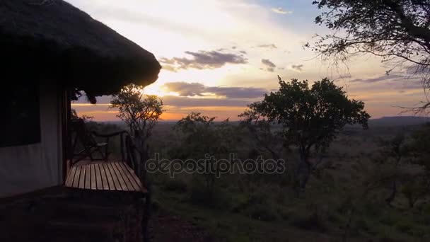 La noche en Savannah. Safari - viaje a través de la sabana africana. Tanzania . — Vídeos de Stock