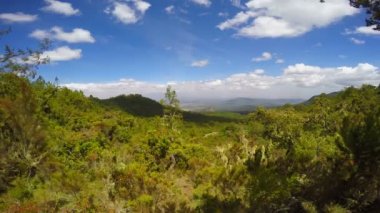 Mount Meru yamacında. Safari - Afrika savana yolculuk. Tanzanya.