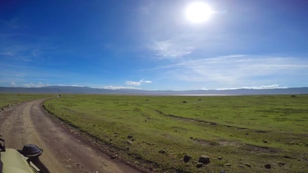 Le gnous dans le cratère de Ngorongoro. Safari - voyage à travers la savane africaine. Tanzanie .