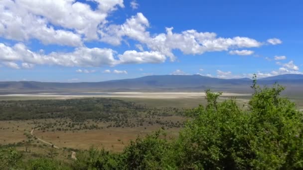 Panorama des Ngorongoro-Kraters. Safari - Reise durch die afrikanische Savanne. Tansania. — Stockvideo