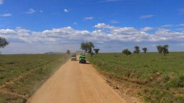 Safari - Afrika savana yolculuk. Tanzanya.