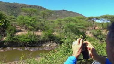 Suaygırları nehir kurutma içinde. Safari - Afrika savana yolculuk. Tanzanya.
