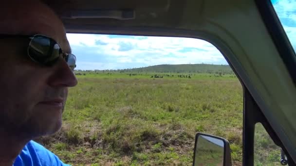 In the Ngorongoro crater. Safari - journey through the African Savannah. Tanzania. — Stock Video