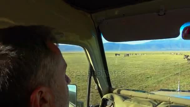 V kráteru Ngorongoro. Safari - cesta přes africké savany. Tanzanie. — Stock video