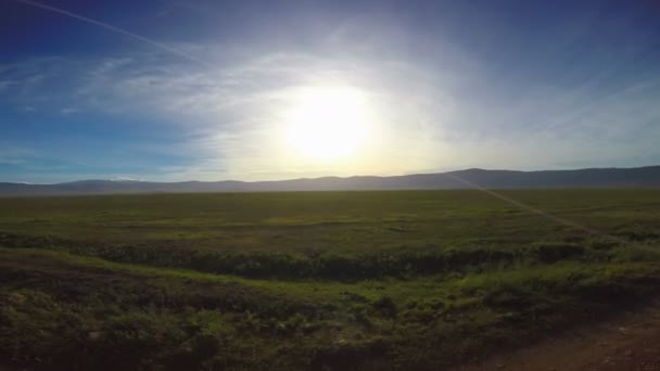 Im Ngorongoro-Krater. Safari - Reise durch die afrikanische Savanne. Tansania. — Stockvideo