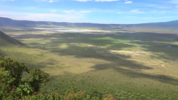 A cratera de Ngorongoro. Safari - viagem pela Savannah Africana. Tanzânia . — Vídeo de Stock