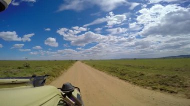 Safari - Afrika savana yolculuk. Tanzanya.