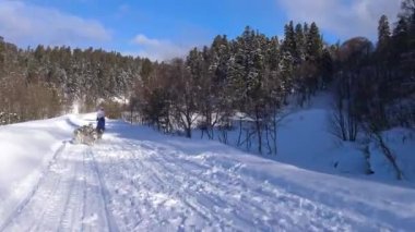 Kızak köpek yarışı. Kafkas Dağları. Rusya.