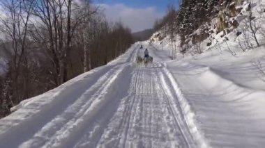Kızak köpek yarışı. Kafkas Dağları. Rusya.