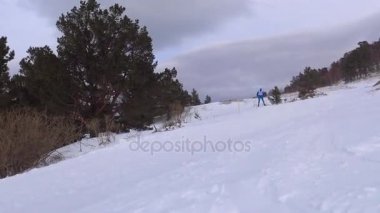 Kızak köpek yarışı. Kafkas Dağları. Rusya.
