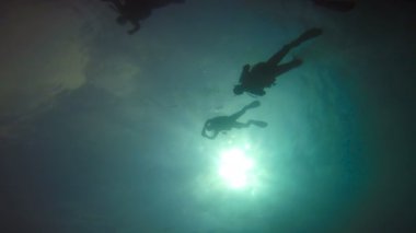 Başlangıç tüplü dalış. Heyecan verici mafya Adası dalış. Tanzanya. Hint Okyanusu.