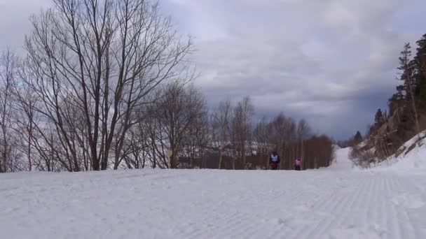 La carrera de trineos. Las montañas caucásicas. Rusia . — Vídeo de stock