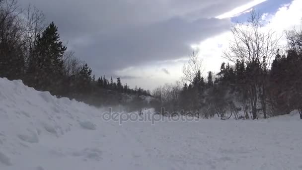 Das Schlittenhunderennen. die kaukasischen Berge. Russland. — Stockvideo