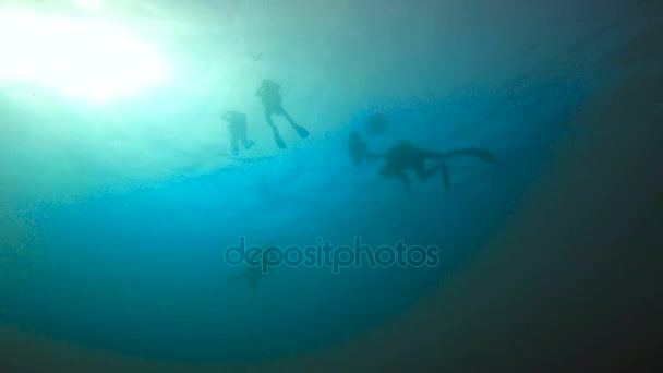 Beginning scuba dive. Exciting diving off the island of Mafia. Tanzania. Of the Indian ocean. — Stock Video