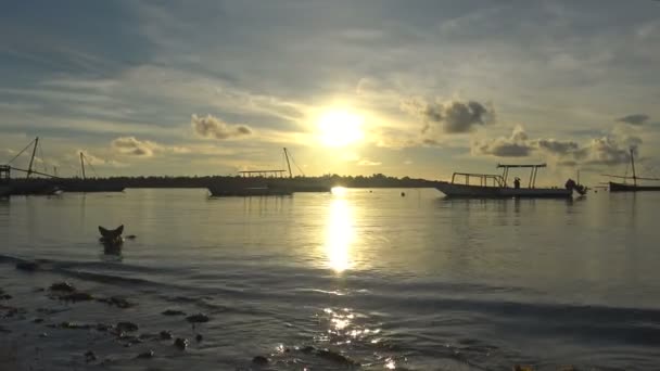 Bom dia, ilha da Máfia. Tanzânia. Do oceano Índico . — Vídeo de Stock