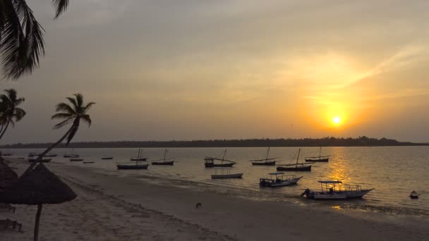 Mattina sull'isola della mafia. Tanzania. Dell'oceano Indiano . — Video Stock