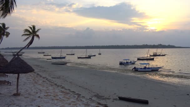Bonjour, Mafia Island. Tanzanie. De l'océan Indien .