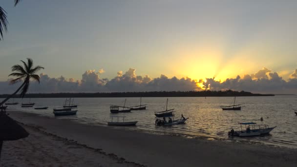 Bonjour, Mafia Island. Tanzanie. De l'océan Indien .