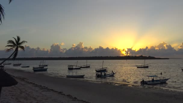 Mattina sull'isola della mafia. Tanzania. Dell'oceano Indiano . — Video Stock