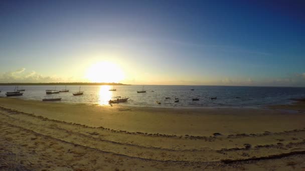 Buenos días, isla Mafia. Tanzania. Del océano Índico . — Vídeos de Stock