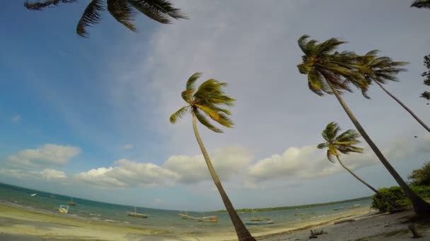 Morgon Mafiaön. Tanzania. I Indiska oceanen. — Stockvideo