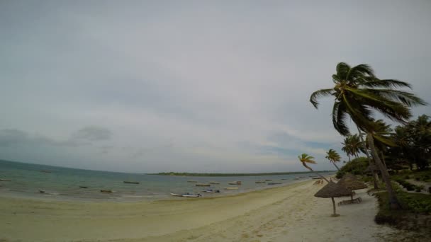 Ranní mafie ostrov. Tanzanie. Indického oceánu. — Stock video