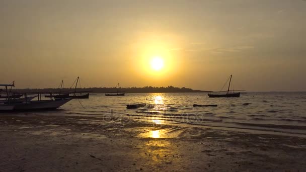 Morgenmafia-Insel. Tansania. des indischen Ozeans. — Stockvideo