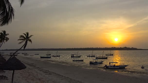 Mattina sull'isola della mafia. Tanzania. Dell'oceano Indiano . — Video Stock