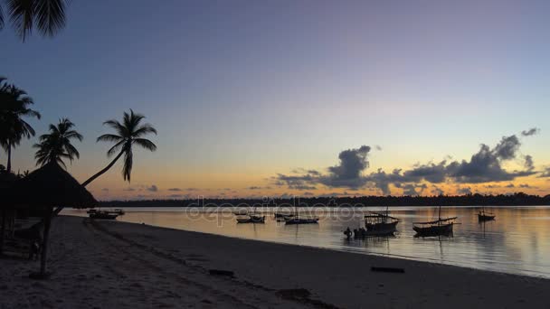 Buenos días, isla Mafia. Tanzania. Del océano Índico . — Vídeos de Stock