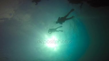 Başlangıç tüplü dalış. Heyecan verici mafya Adası dalış. Tanzanya. Hint Okyanusu.