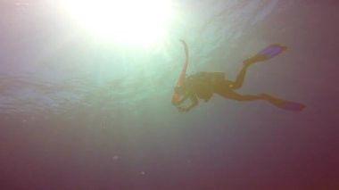 Bir tüplü dalış sonra yüzeye. Heyecan verici mafya Adası dalış. Tanzanya. Hint Okyanusu.