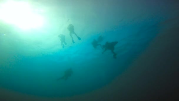 最初スキューバ ダイビング。エキサイティングなマフィアの島からダイビングします。タンザニア。インド洋の. — ストック動画