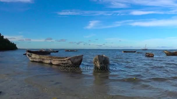 早上马菲亚岛。坦桑尼亚。印度洋的. — 图库视频影像