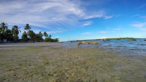 Morning Mafia island. Tanzania. Of the Indian ocean. — Stock Video