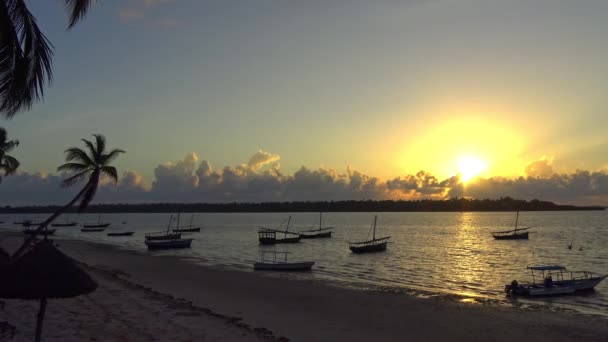 Bom dia, ilha da Máfia. Tanzânia. Do oceano Índico . — Vídeo de Stock