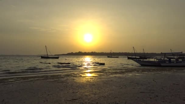 Ochtend Mafia island. Tanzania. Van de Indische Oceaan. — Stockvideo