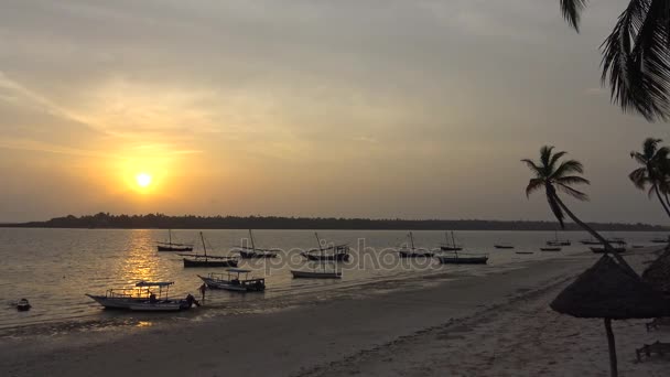 Ranní mafie ostrov. Tanzanie. Indického oceánu. — Stock video