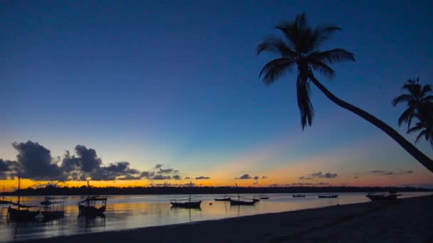 Sabah mafya Adası. Tanzanya. Hint Okyanusu. — Stok video