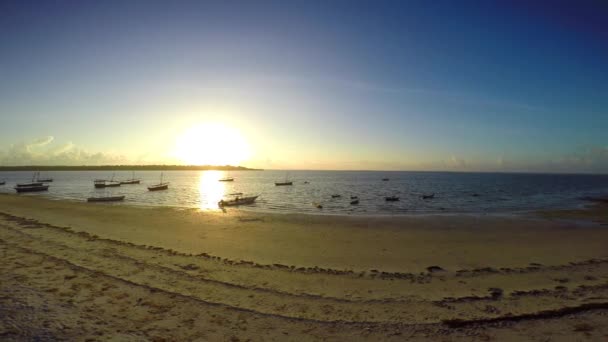 朝マフィア島。タンザニア。インド洋の. — ストック動画