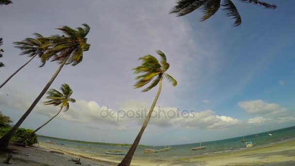 Bonjour, Mafia Island. Tanzanie. De l'océan Indien .